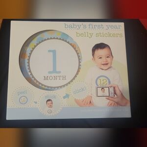 Stepping Stones Baby's First Year Belly Stickers, New In Box
